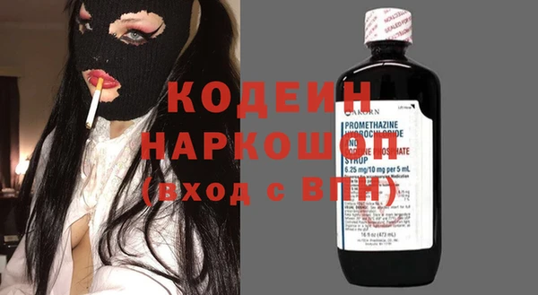 ПСИЛОЦИБИНОВЫЕ ГРИБЫ Инта