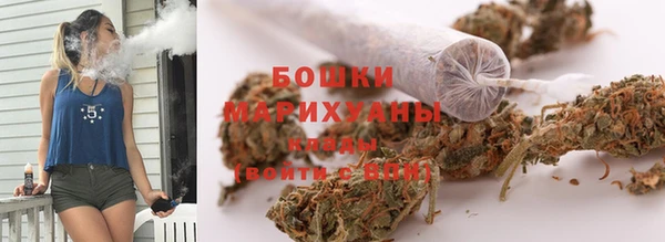 ПСИЛОЦИБИНОВЫЕ ГРИБЫ Инта
