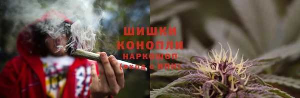 ПСИЛОЦИБИНОВЫЕ ГРИБЫ Инта