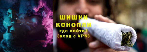 ПСИЛОЦИБИНОВЫЕ ГРИБЫ Инта