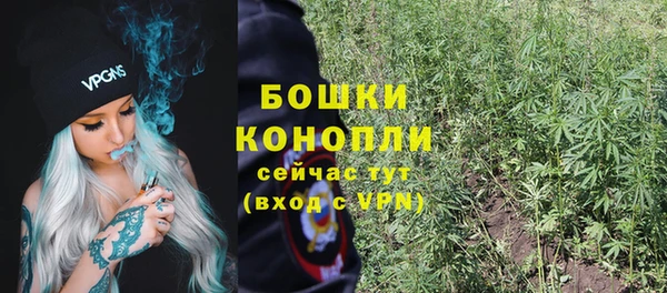 ПСИЛОЦИБИНОВЫЕ ГРИБЫ Инта