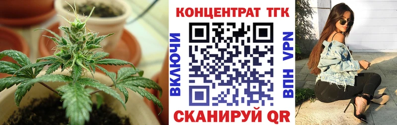 Купить где  Хилок  Дистиллят ТГК гашишное масло 