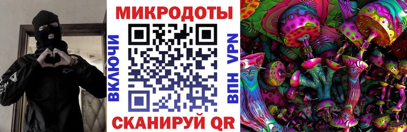 Псилоцибиновые грибы Psilocybe  Купить где  Хилок 